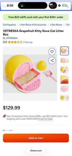 Cool litter box