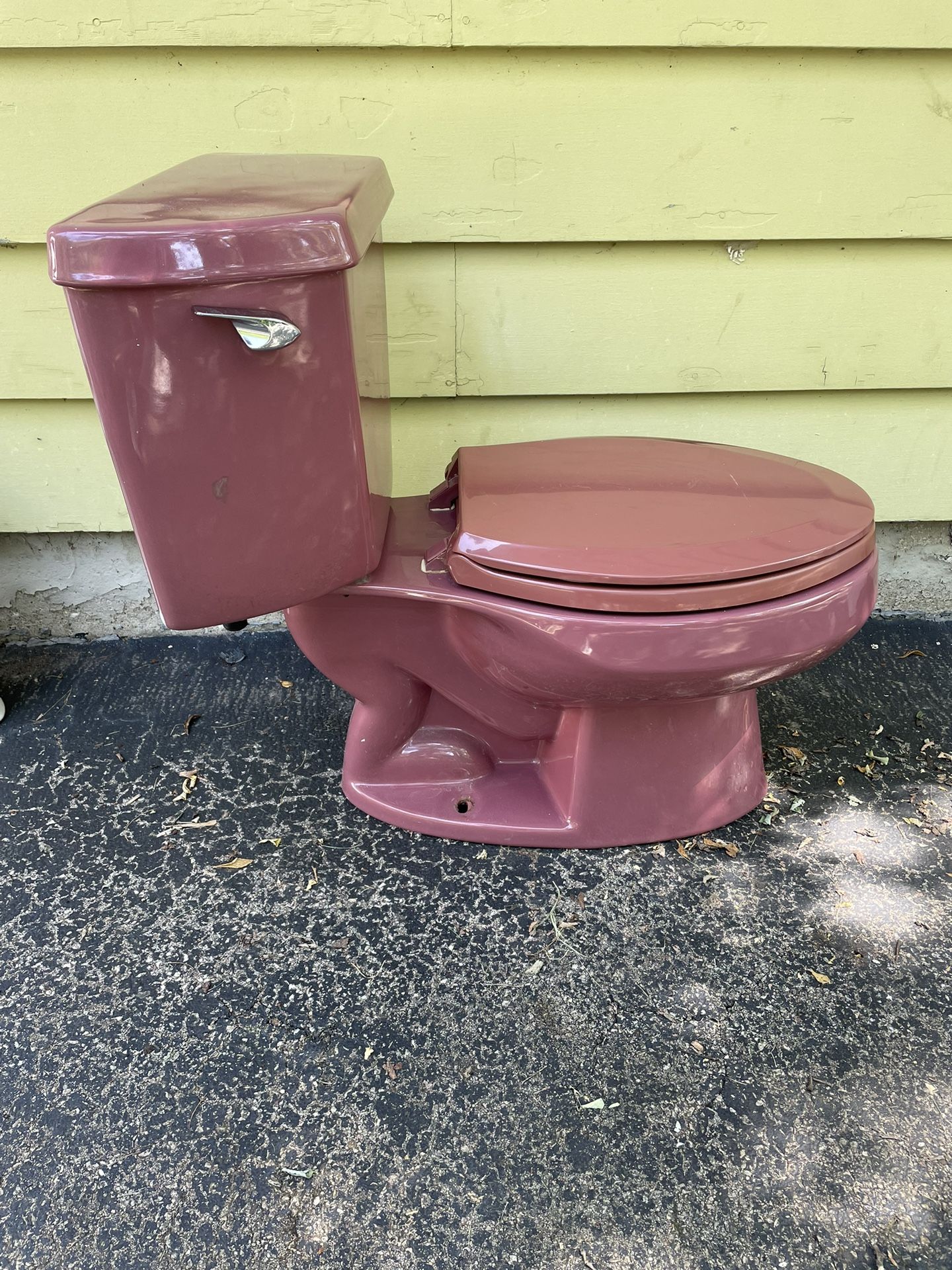 Kohler Burgundy Toilet