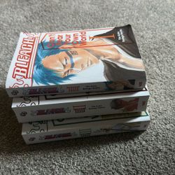 Bleach Novel: Can’t Fear Your Own World 