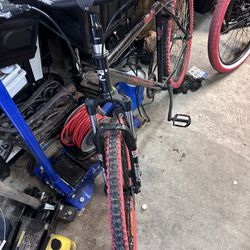 29er Redline Monocog