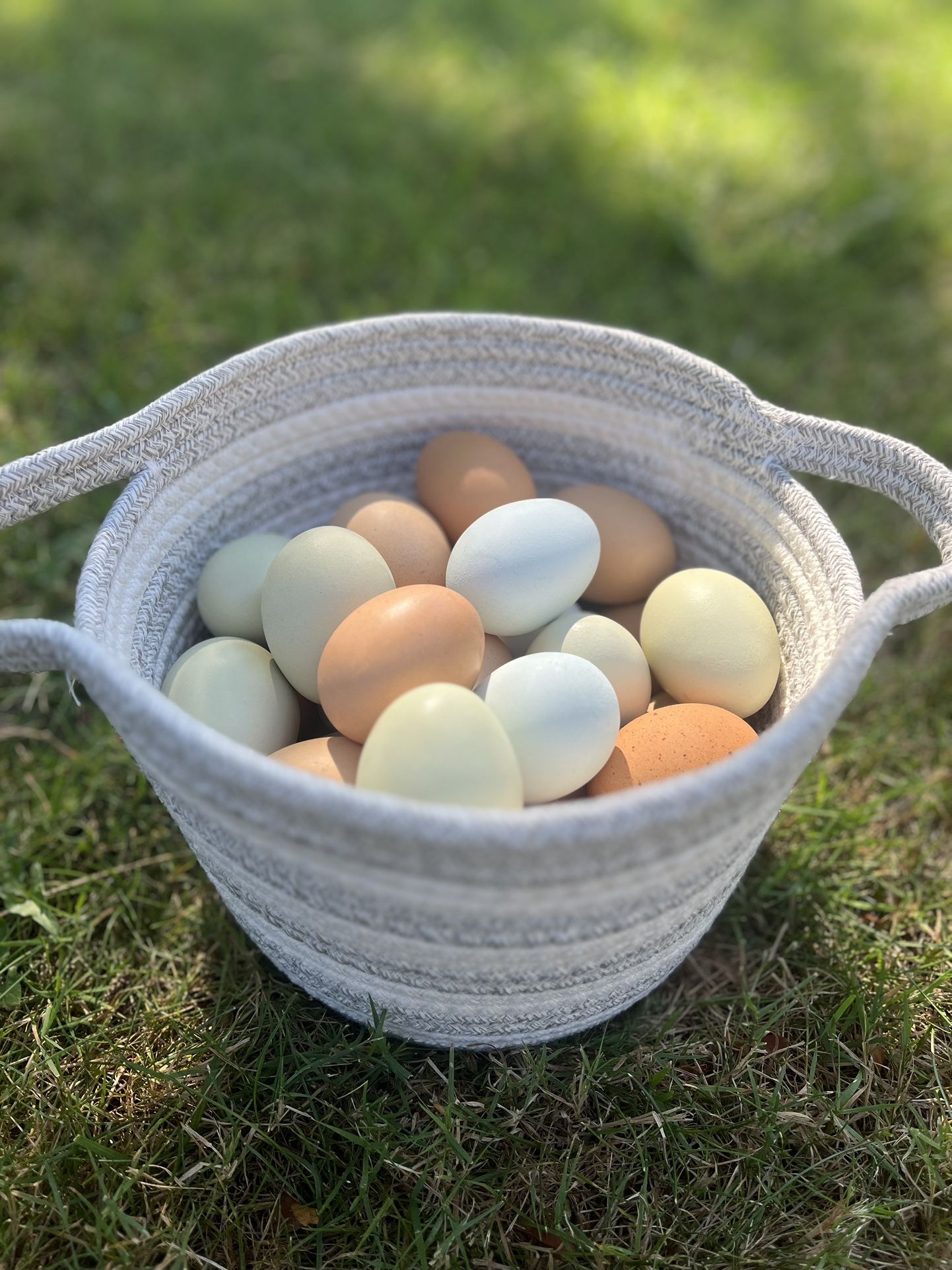 Farm Fresh Eggs