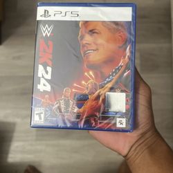 Wrestling 2k24
