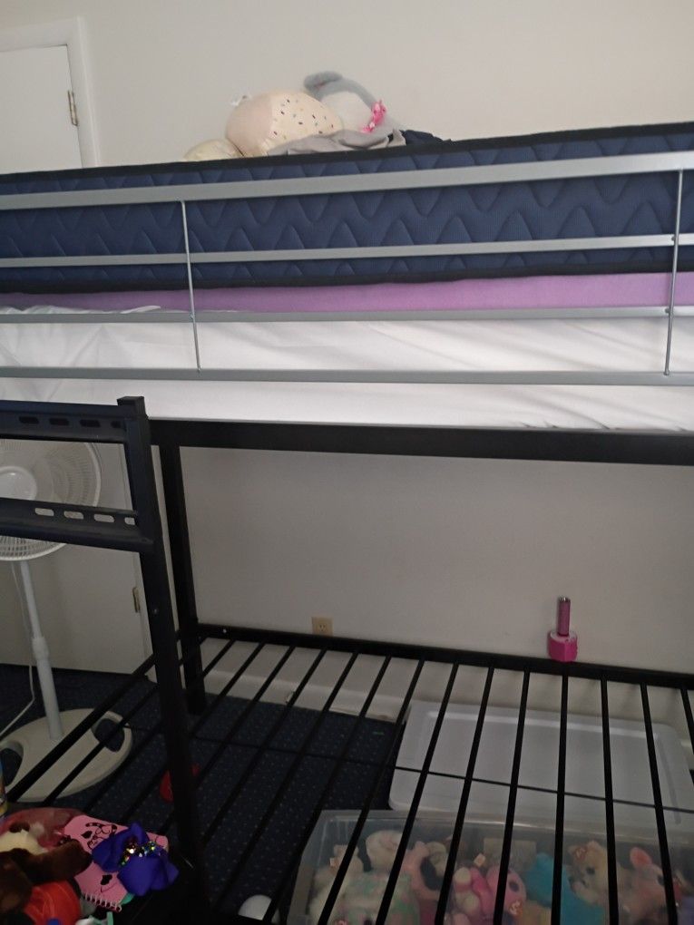 Twin Bunk Bed 