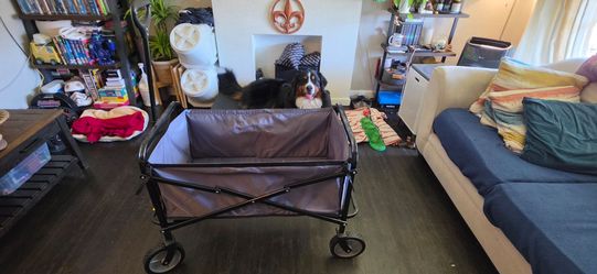 Wagon