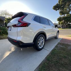 Window Film Automotive Tint