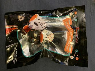 Anaheim ducks