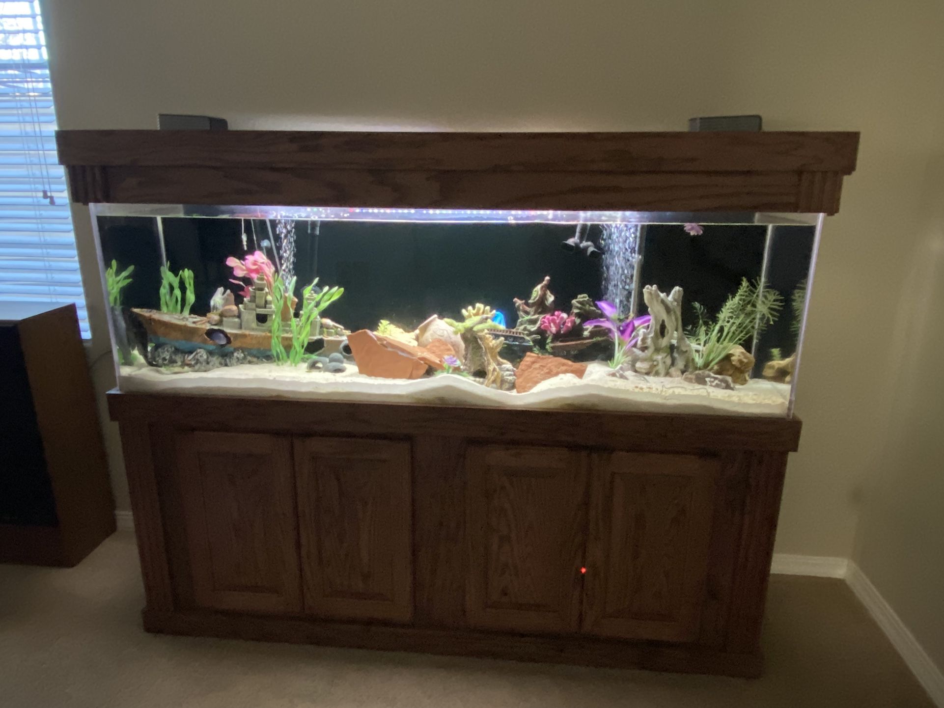 155 Gal Acrylic Fish Tank, Stand All Accessories 