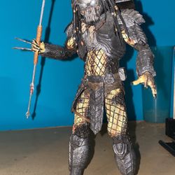 AVP Celtic Predator 2004