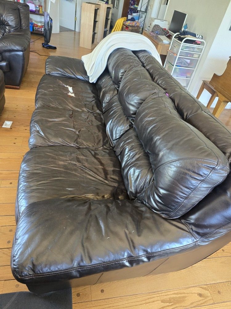 Free Leather Couch