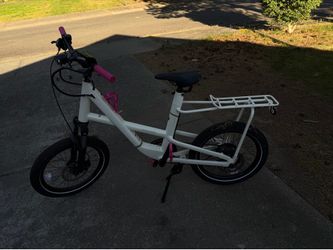 REI electric assist