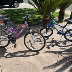 2 Bikes For Sale 