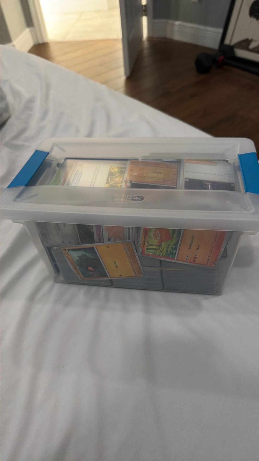 7 pounds Pokémon bulk