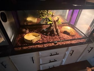 Reptile tank