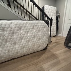 Puffy Monarch Twin XL Adjustable Split King Set – Luxury Hybrid – Like New