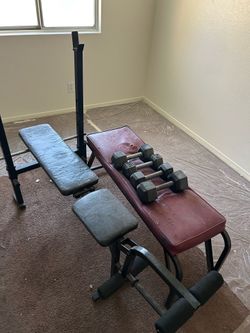 Bench press, with dumbbells and bench press weights