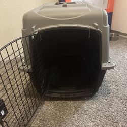 Pet Car Carrier