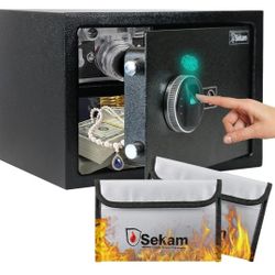 Biometric Security Safe