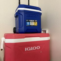 Igloo Ice Coolers