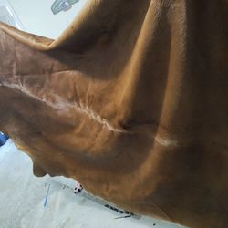  Livingroom Carpet Cow Skin Made In Brazil Brand New 