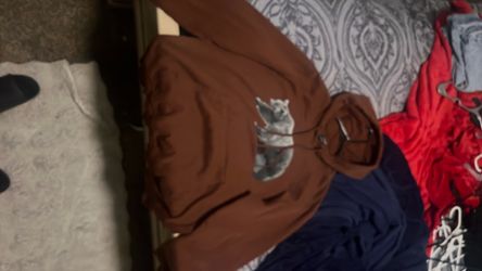 The North Face hoodie