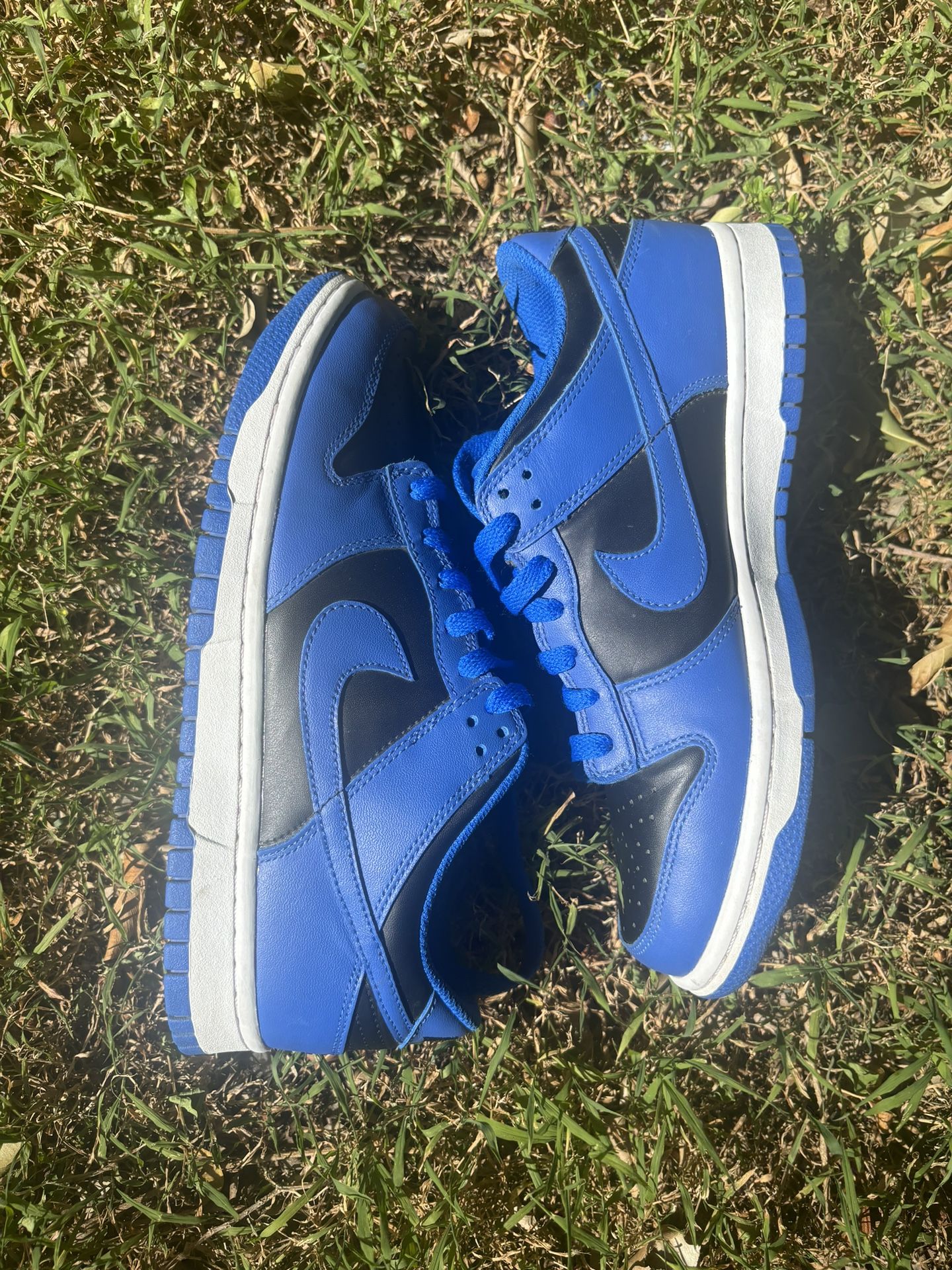 Size 2021 Dunk Low 'Hyper Cobalt'