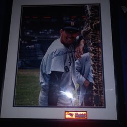 The TED Williams Auto W CoA 