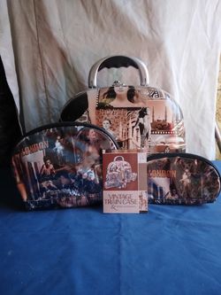 Cosmetic Luggage Bag
