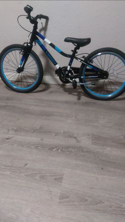 Guardian Ethos 20" Bike