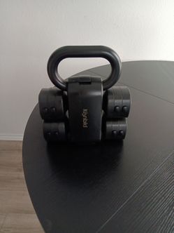 Kisnbid weights