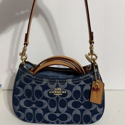 COACH Teri Mini