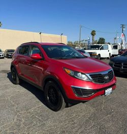2013 Kia Sportage
