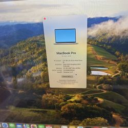 Apple Laptop 