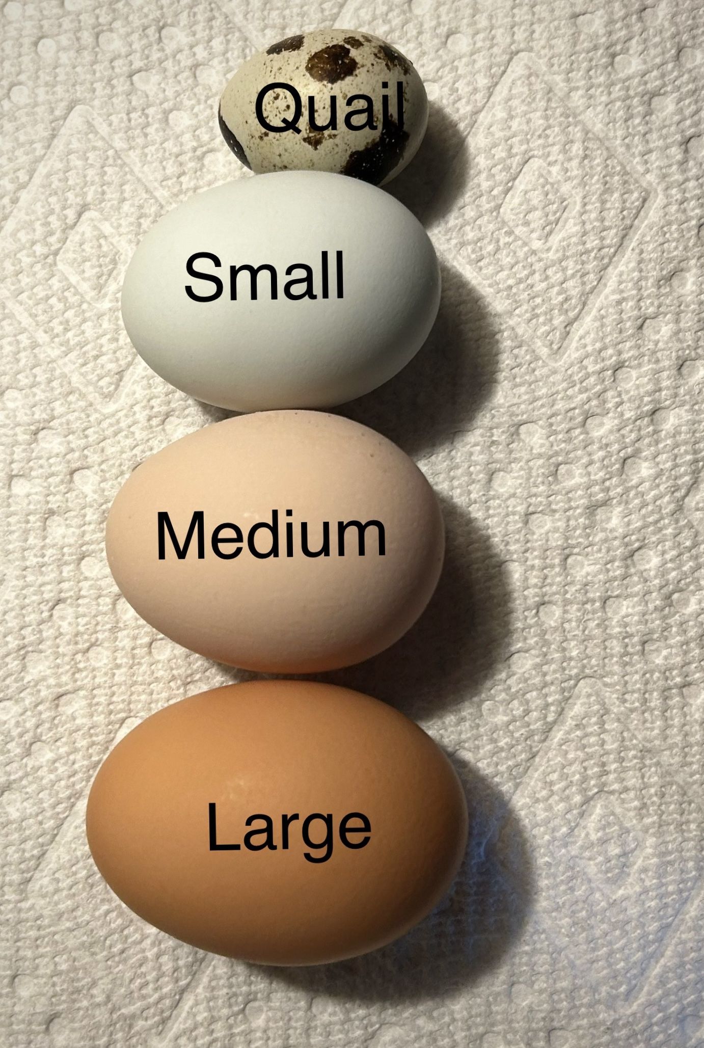 Hatching Eggs