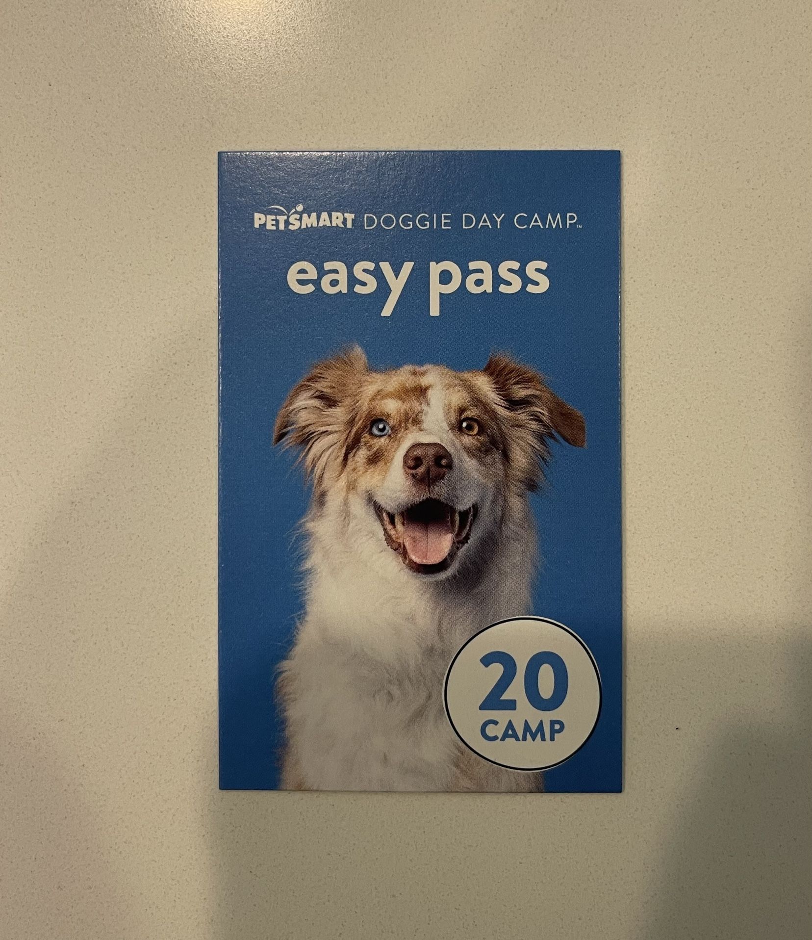 Petsmart Day Camp Easy Pass (20)