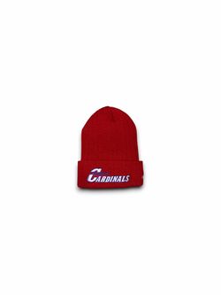 Vintage Arizona Cardinals NFL Pro Line PUMA beanie red mens OSFA
