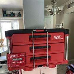 Milwaukee Packout 