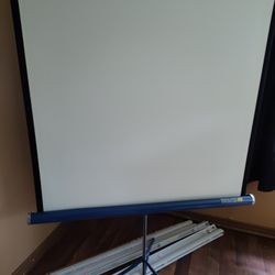 Projector Screen