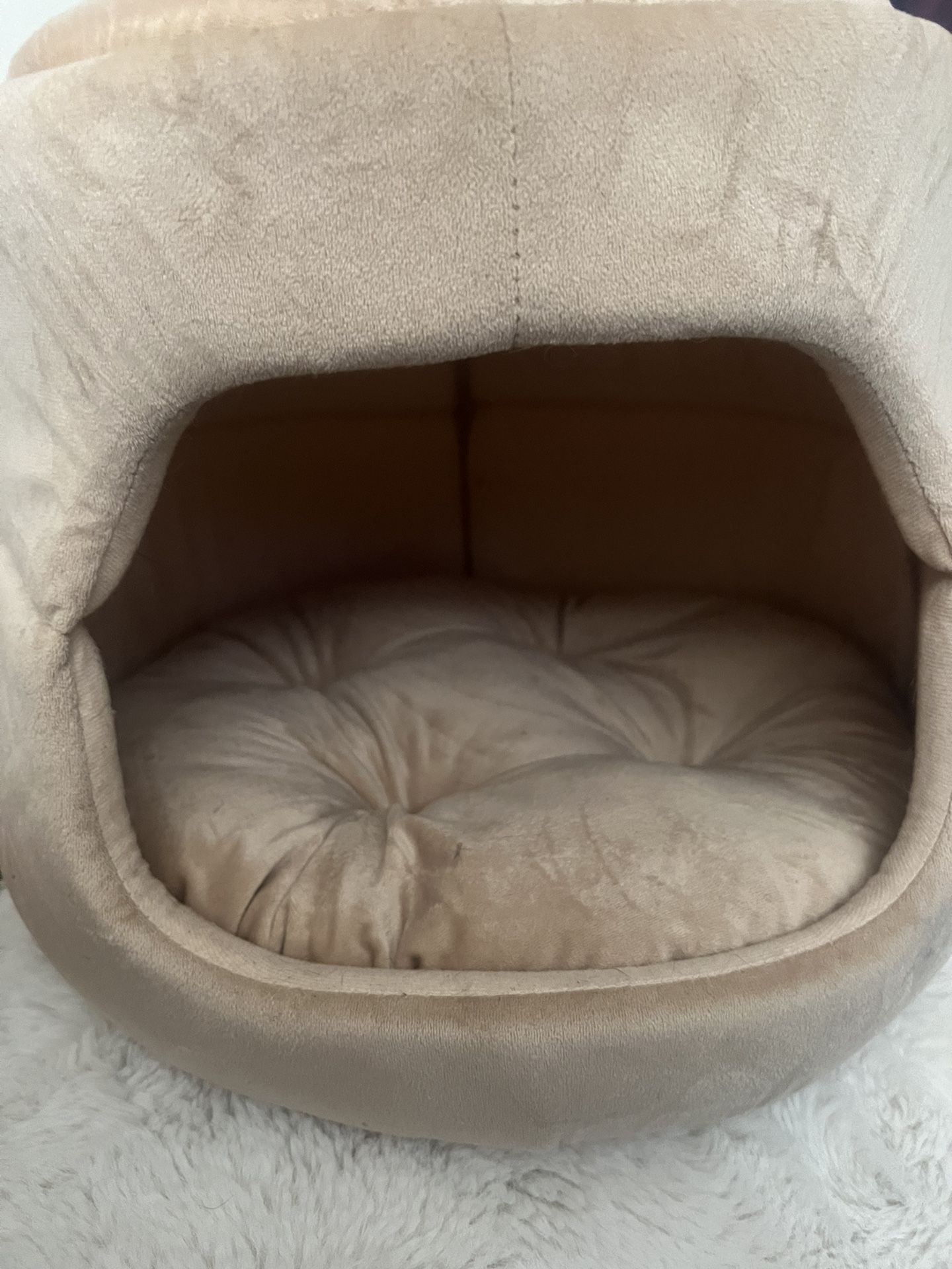 Cat Bed!