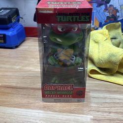 Teenage mutant ninja turtles