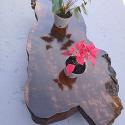 Redwood Tree Trunk Table