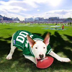 NFL New York Jets Dog Jersey, Large