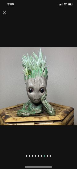 Baby Groot Succulent 