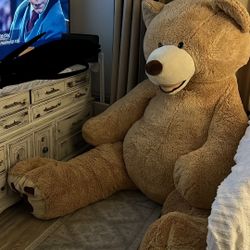 Teddy Bear