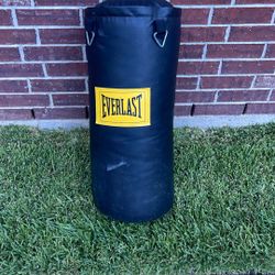 Everlast Punching Bag