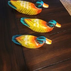 COLLECTION  WOOD DUCKS