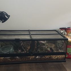 Entire Set Of Reptile Supplies Including Feeder Rats And Mice