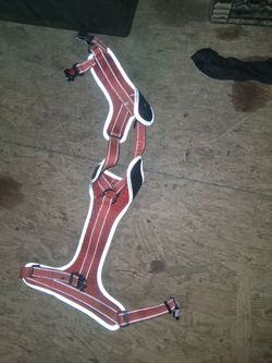 Harness