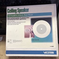 Ceiling Speaker