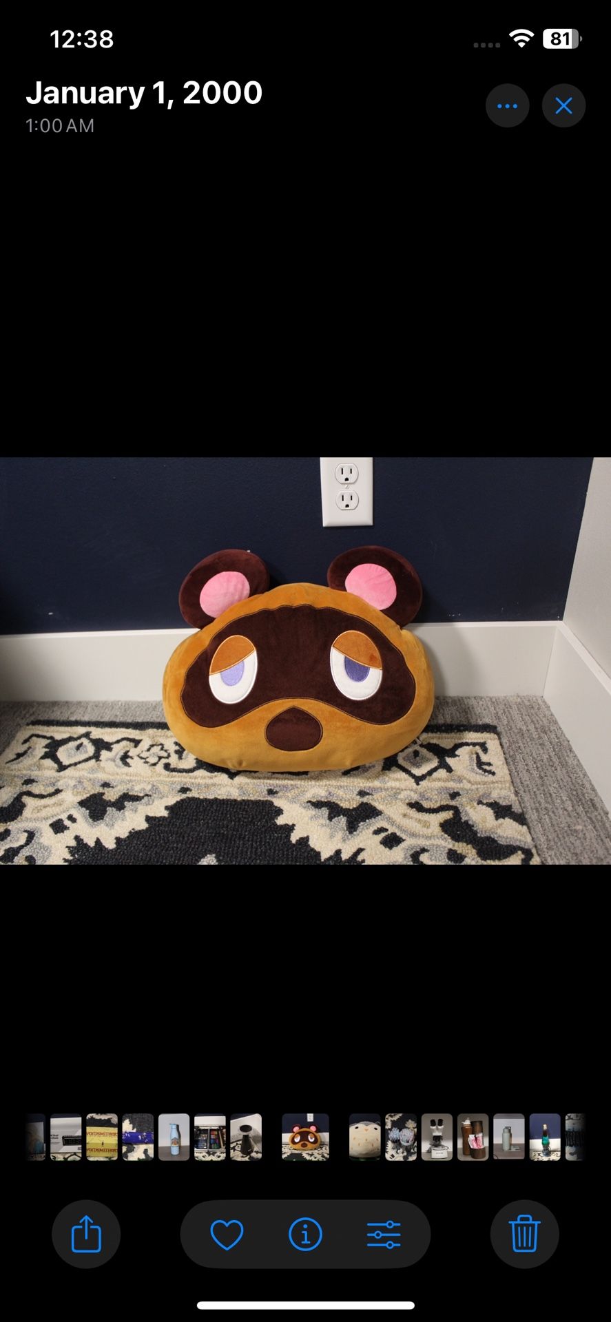 Nook Stuff Pillow