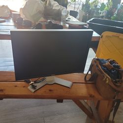 Dell 24" Monitor